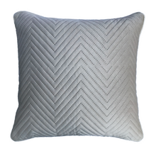 Load image into Gallery viewer, Silver Soft Cotton Velvet Cushion Cover | Casa Kriti