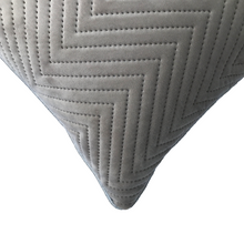 Load image into Gallery viewer, Silver Soft Cotton Velvet Cushion Cover | Casa Kriti