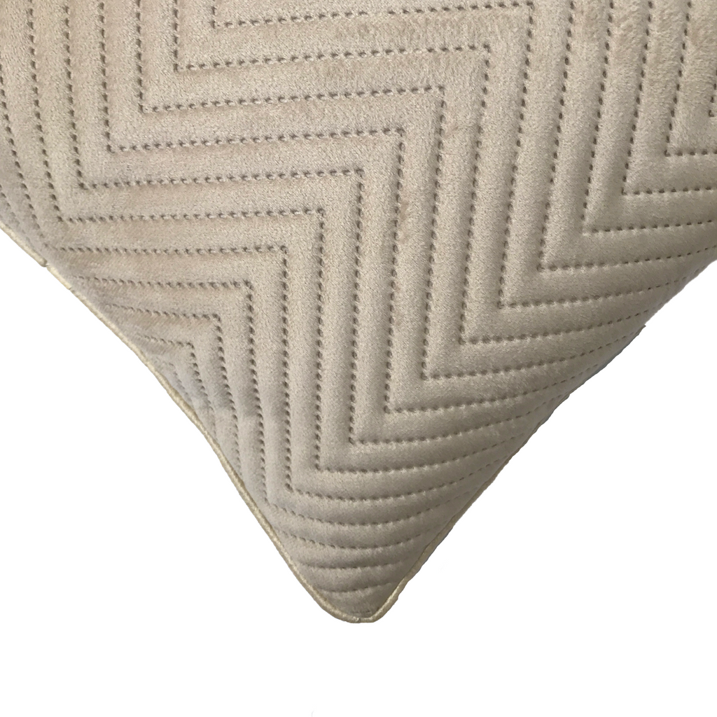 Beige Soft Cotton Velvet Cushion Cover | Casa Kriti