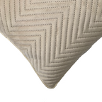 Beige Soft Cotton Velvet Cushion Cover | Casa Kriti